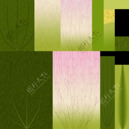 植物花草装饰素材室内装饰用品素材室内装饰素材79