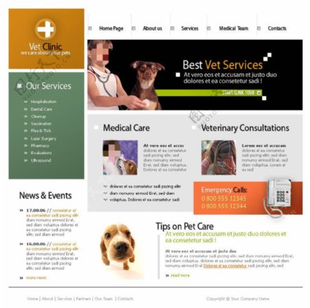 宠物医院网站psd模板