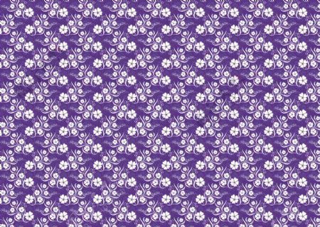 五叶草图案底纹紫图片