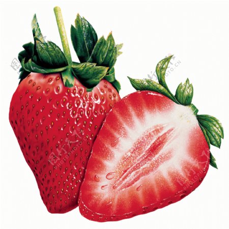 草莓食品插画