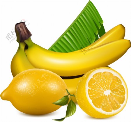 手绘桔子柠檬香蕉图片