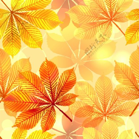 矢量秋季树叶矢量设计素材