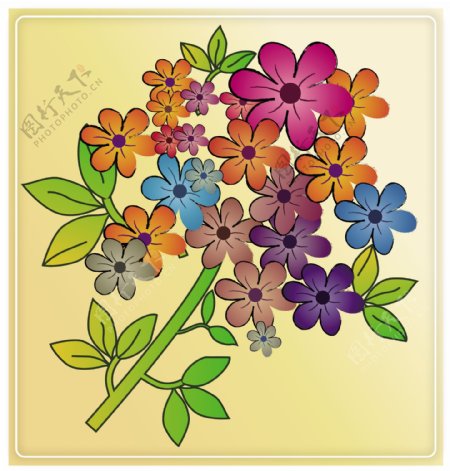 手绘线条花纹花朵图片
