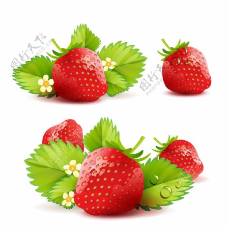 美味多汁的红草莓矢量