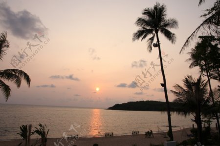 苏梅岛的早晨图片
