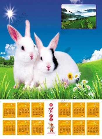 2011年兔年挂历