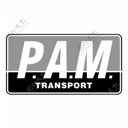 PAM传输