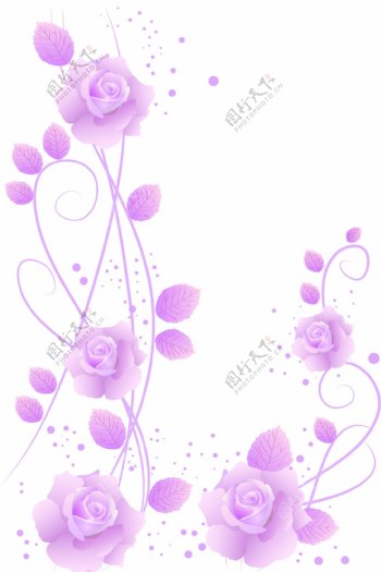 紫色潮流花纹花边