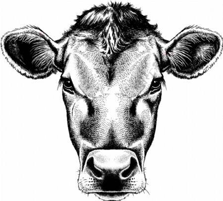 牛头插画标志图片