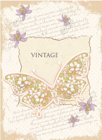 古典花纹花朵蝴蝶图片