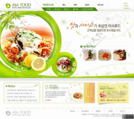 绿色美味佳肴网页模板