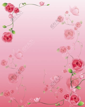 粉红玫瑰绿叶