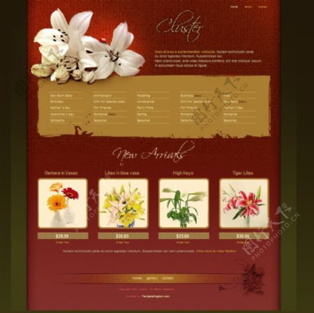 国外花蕾植物网站模版