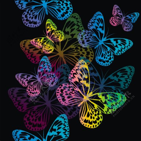 五颜六色的蝴蝶设计矢量图01