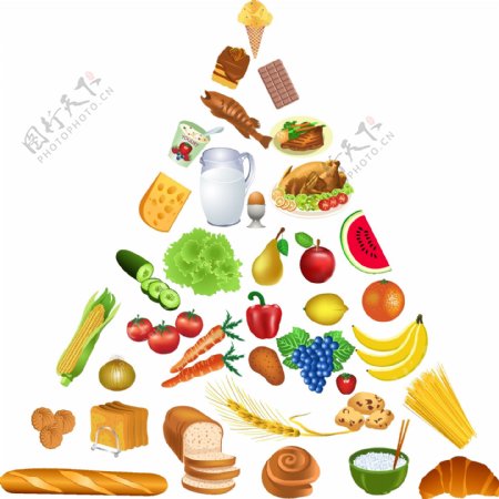 食物金字塔图片