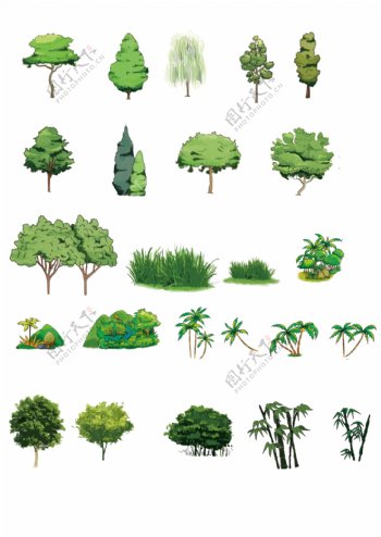 植物树木插图设计