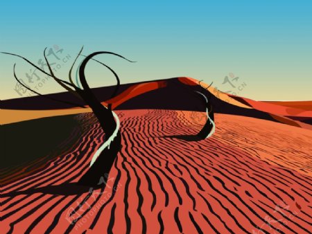 沙漠插画设计
