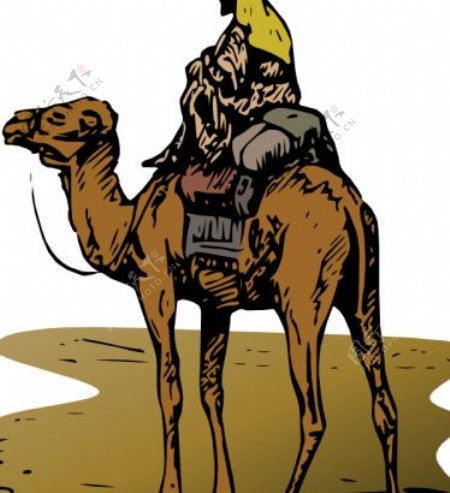 在载体图像骑骆驼