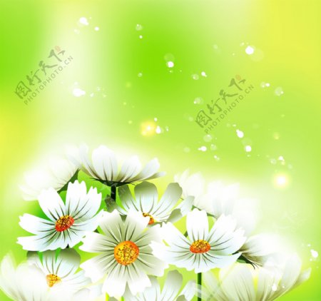 夏季花卉矢量素材图片