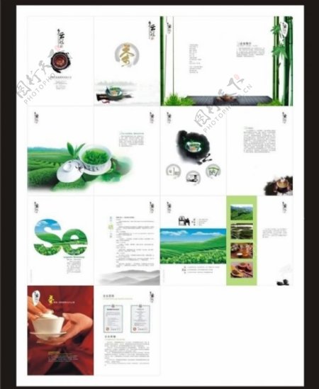 茶叶公司画册设计图片
