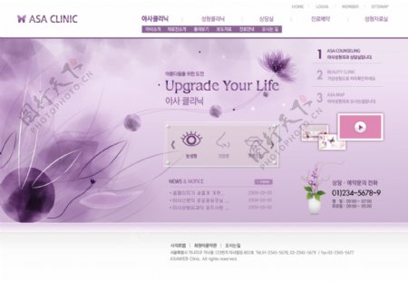 韩国紫色网站图片