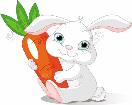 小白兔胡萝卜图片