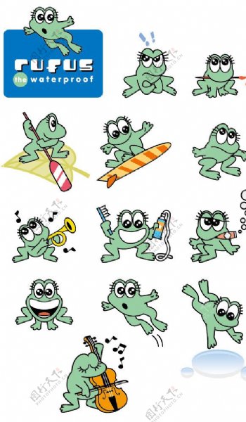 各种形态的青蛙图片