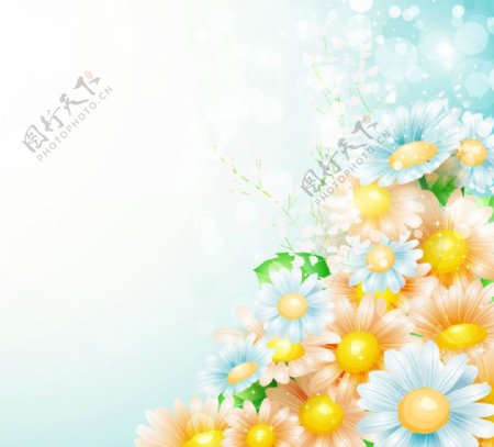 鲜花背景图片