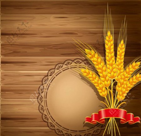 小麦水稻麦穗图片