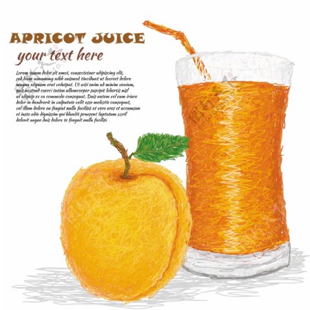 手绘杏汁图片