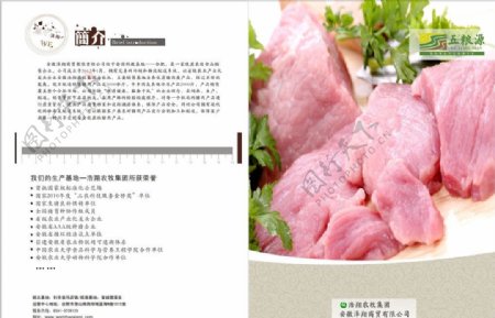 健康猪肉食品折页图片