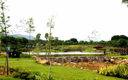 景观池图片