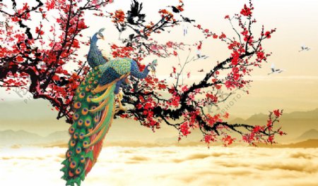 孔雀花卉国画图片