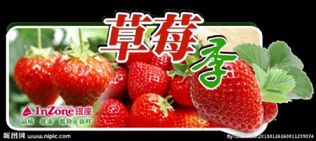 草莓季图片