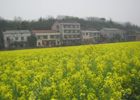 衡阳县风景图片
