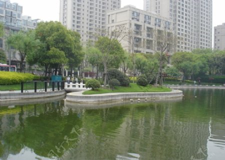 上海市中心公园绿地图片