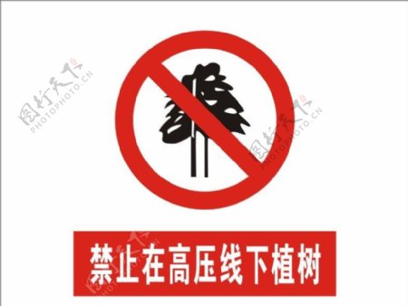 禁止在高压线下植树图片