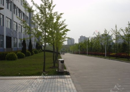 大学校园景观图片