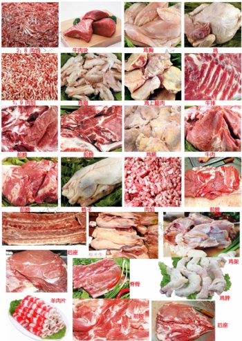新鲜肉品大全图片