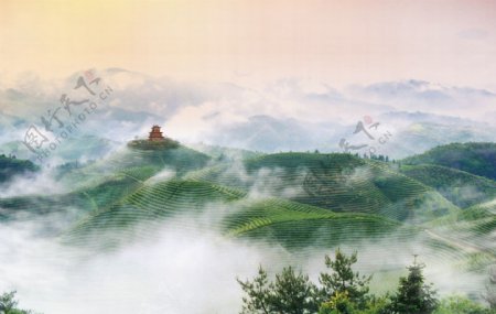 云峰寺远景图片