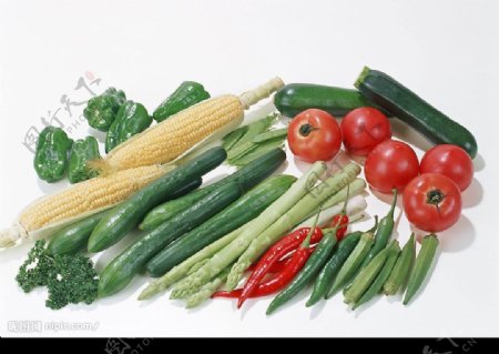 一堆蔬菜图片