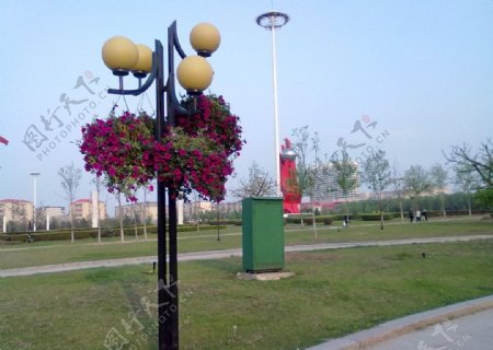 广场路灯吊式花圃图片