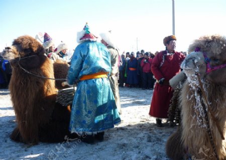 内蒙古正蓝旗冬季那达图片