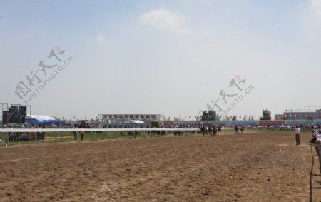 中国马速度大赛图片
