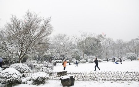 雪景图片