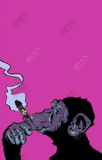 猩猩吸烟图片