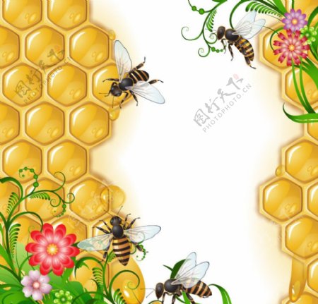 蜜蜂鲜花蜂巢梦幻背景图片
