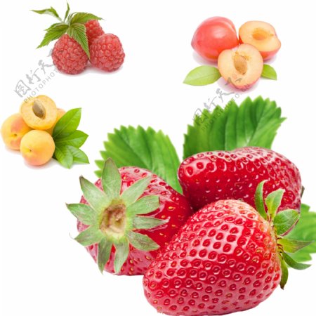 草莓油桃图片