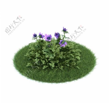 植物模型下载图片