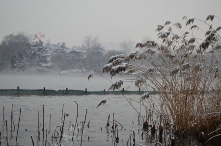 济南大明湖雪景图片